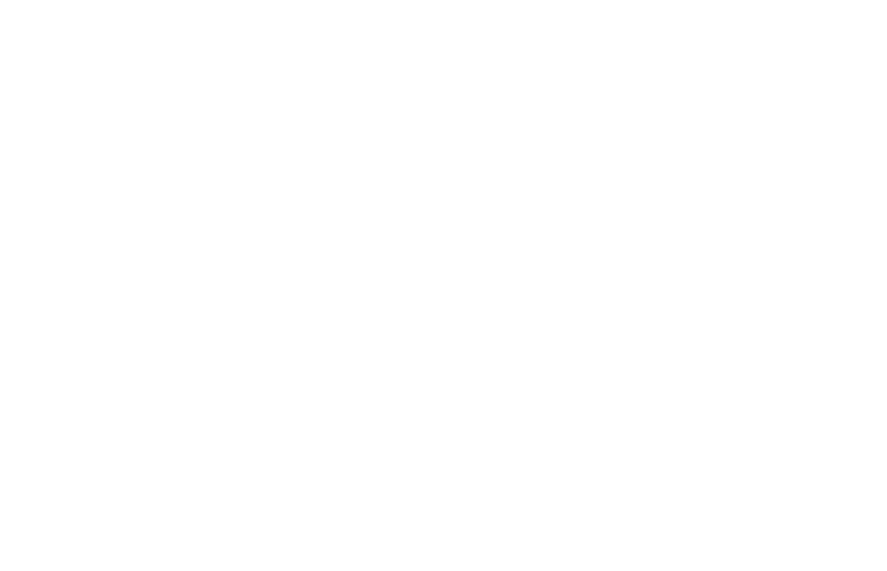 A Proud member of Alabama Association of Nonprofits